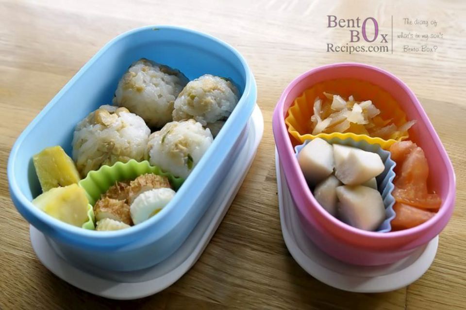 2013-feb-20_DAG8208_bento_box_recipes